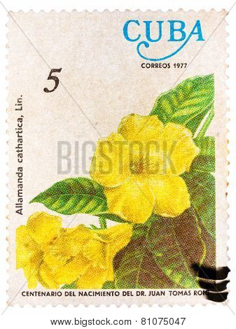 Stamp printed by Cuba shows Allamanda flowers Allamanda cathart