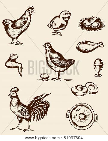 Chicken And Eggs