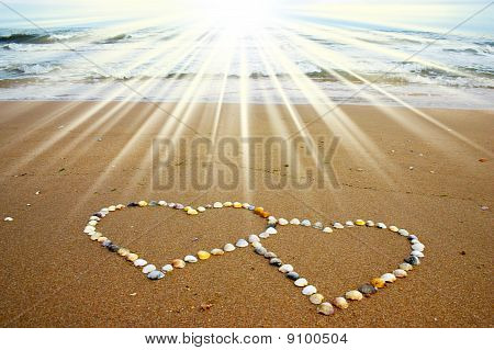 Cuori di conchiglia