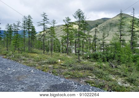 Mountains Of Yakutia In The Late Summer.
