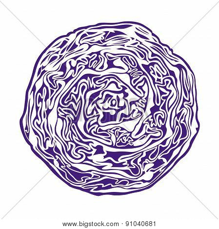 Violet cabbage.