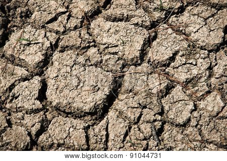 Texas Drought 2