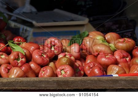 Fresh Wax Apples Or Bell Fruits