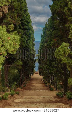 Stepped Path To The See