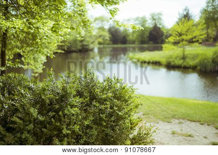 Blurred bush and lake May