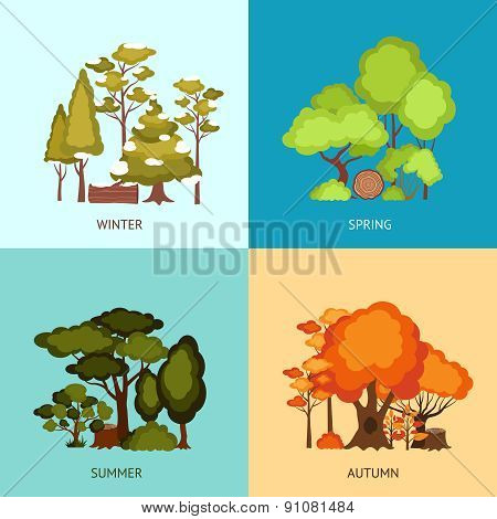 Forest Design Concept