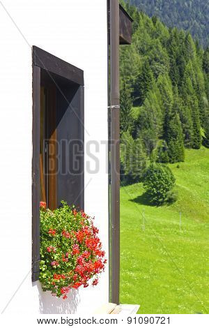 Sauris