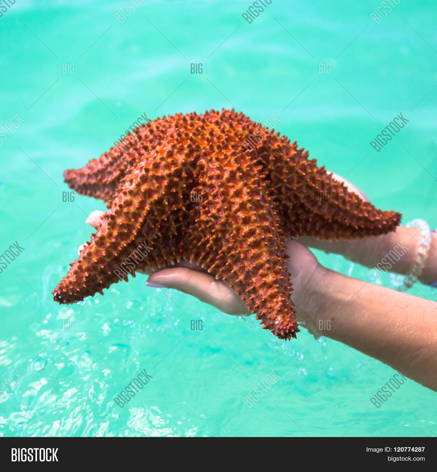 Beautiful Colorful Image & Photo (Free Trial) | Bigstock