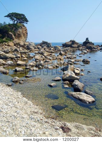 シーサイド韓国松島 Reservtion 湾 1 2
