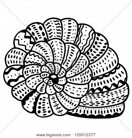 Zentangle Stylized Shell