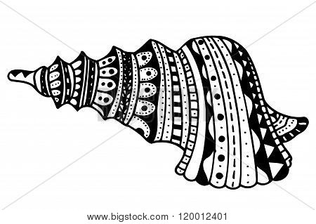 Zentangle Stylized Shell