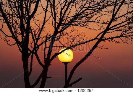 Naturetech Sunset