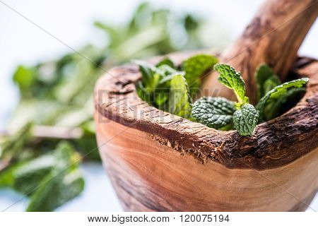 Fresh Mint On Wooden Table