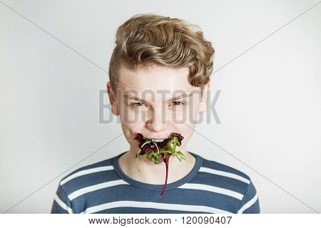 Boy With Mouth Full Of Mixed Salad Lettuce Greens