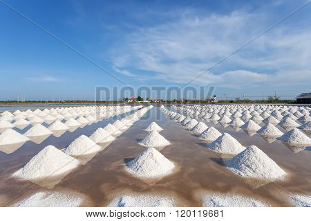 Salt In Sea Salt Farm Ready For Harvest, Thailand.
