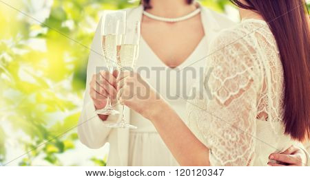 people, homosexuality, same-sex marriage, celebration and love concept - close up of happy married lesbian couple holding and clinking champagne glasses over green tree leavers background