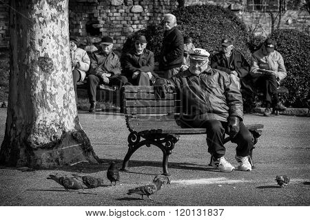 Belgrade Serbia - February 27 2016: Retirees enjoy the sun in the park on a bench and looking pigeons