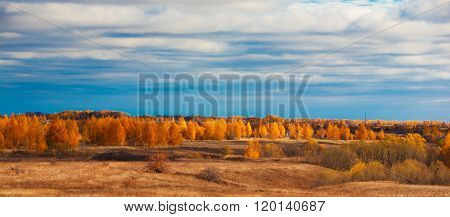 Bright autumn forest lanscape