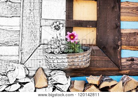 From Sketch To The Wooden Window With Flowers