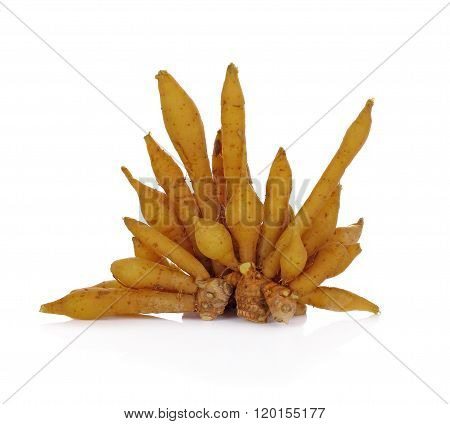 Rhizome, Finger Root On White Background