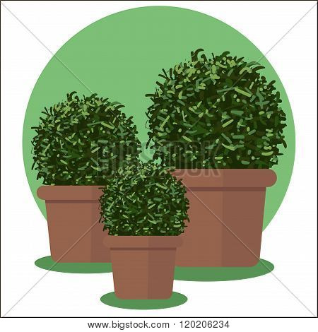 Illustration of flowers in pot.