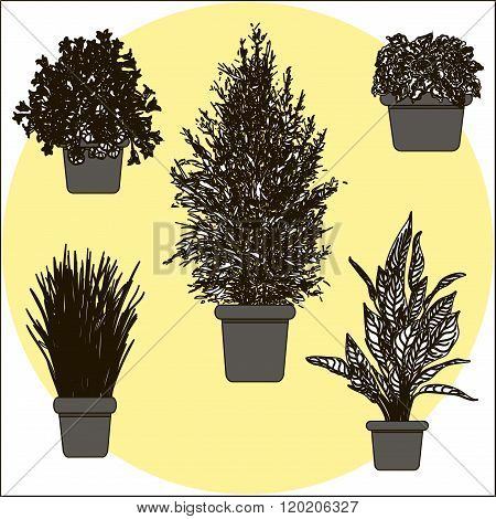 Illustration of flowers in pot.