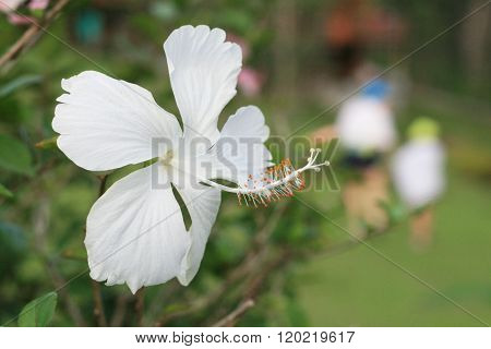 Images, Illustrations & Vectors (Free) - Bigstock