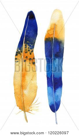 Hand drawn watercolor feather set. Boho style. illustration isol
