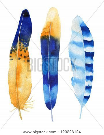 Hand drawn watercolor feather set. Boho style. illustration isol