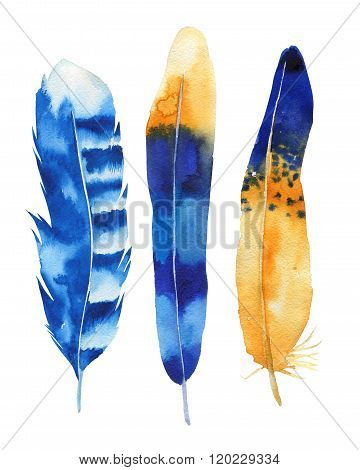 Hand drawn watercolor feather set. Boho style. illustration isol