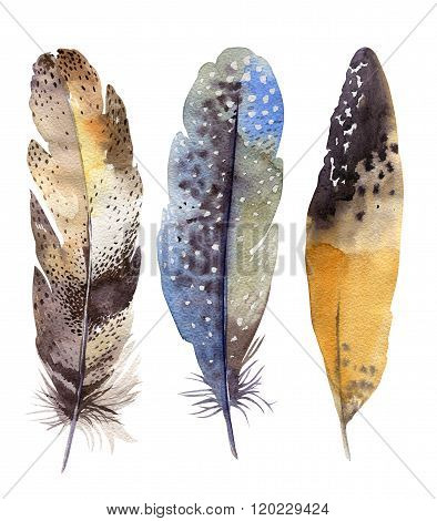 Hand drawn watercolor feather set. Boho style. illustration isol