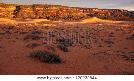 Coral Pink Sand Dunes State Park At Sunset
