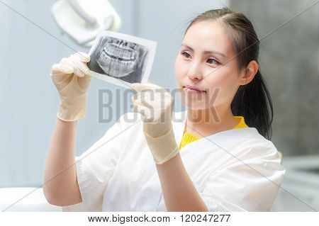Dentist looking at x-ray picture