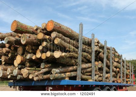 Holz-trailer