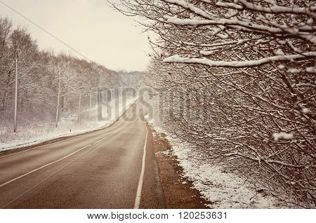 Winter road. Snow and ice on grey trees.
