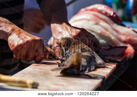 Cleaning Fish