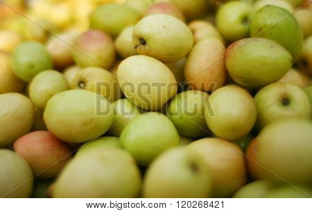 Ripe Jujube