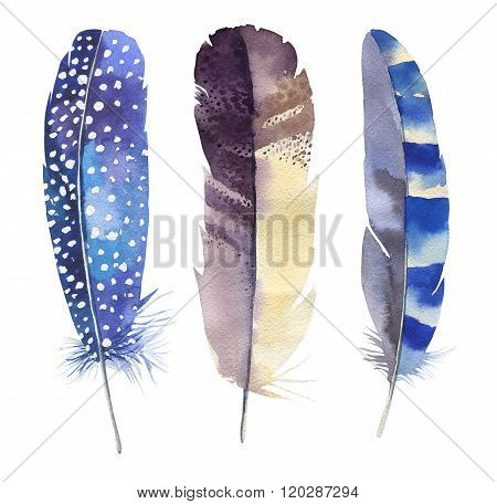 Hand drawn watercolor feather set. Boho style. illustration isol