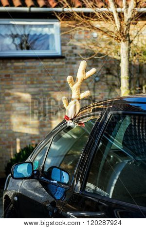 Toy Deer Antlers On A Parked Car In Front Of The House