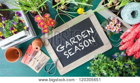 Planting Spring Flowers