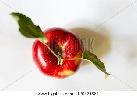 Red Apple