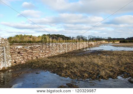 Old Limestone Wall