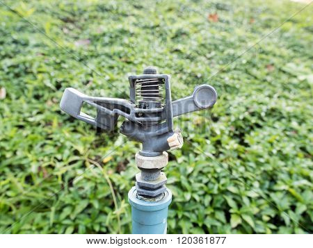 close up of sprinkler in green grass garden