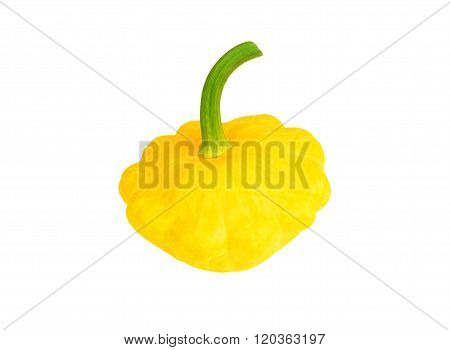 Scalloped Custard Squash (cucurbita Pepo Var. Patisson)