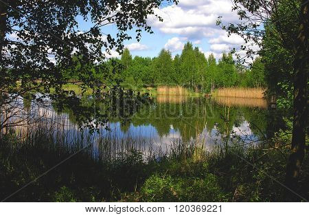 Calm on the summer lake