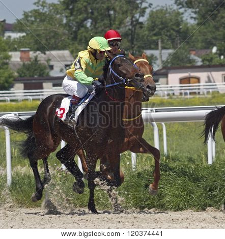 Horse Racing.