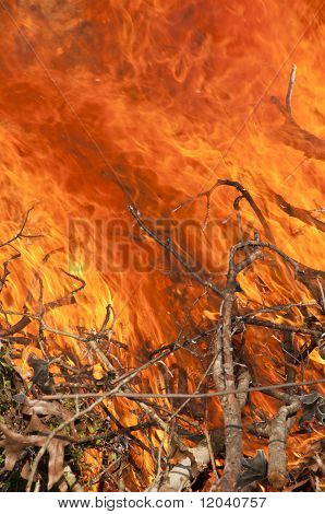 fire
