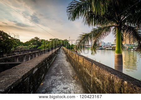 Palm Tree And Walls Along The Pasig River, At Fort Santiago, Intramuros, Manila, The Philippines.