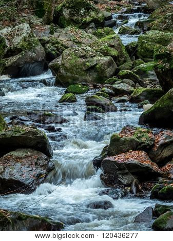 creek with running water