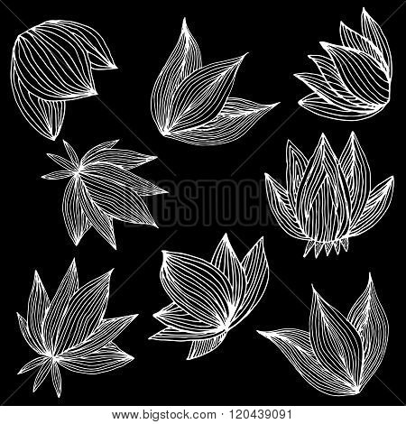 White Petals